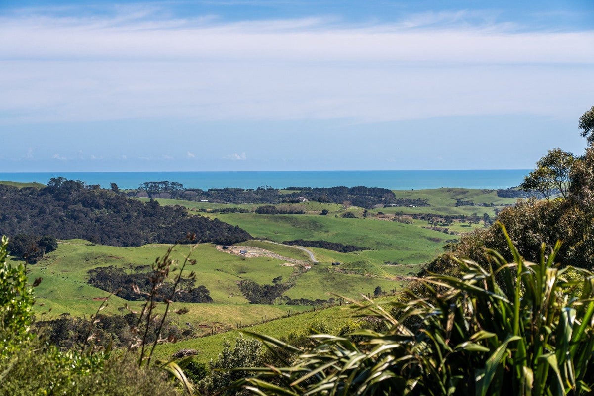176 Maungatawhiri Road, Raglan, Raglan - Carousel 2