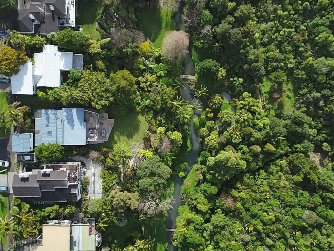 46 Robley Crescent, Glendowie, Auckland - Carousel 9
