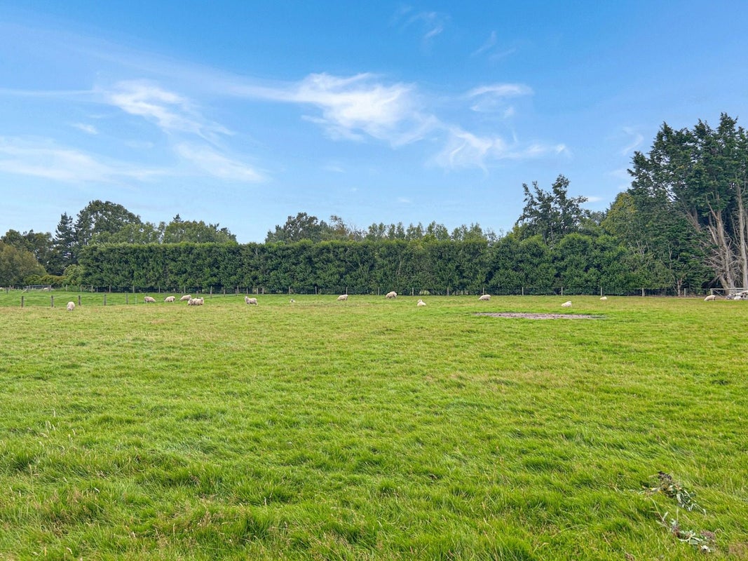 118 Retreat Road, Waihopai, Invercargill - Carousel 19