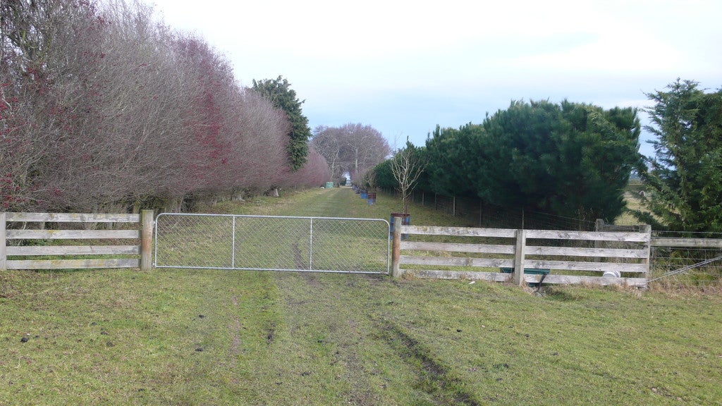 1900 North Eyre Road, West Eyreton, Rangiora - Carousel 11