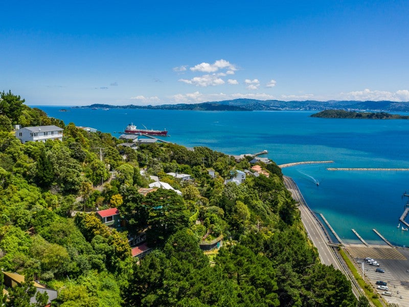 23 Nikau Road, Point Howard, Lower Hutt - Carousel 2