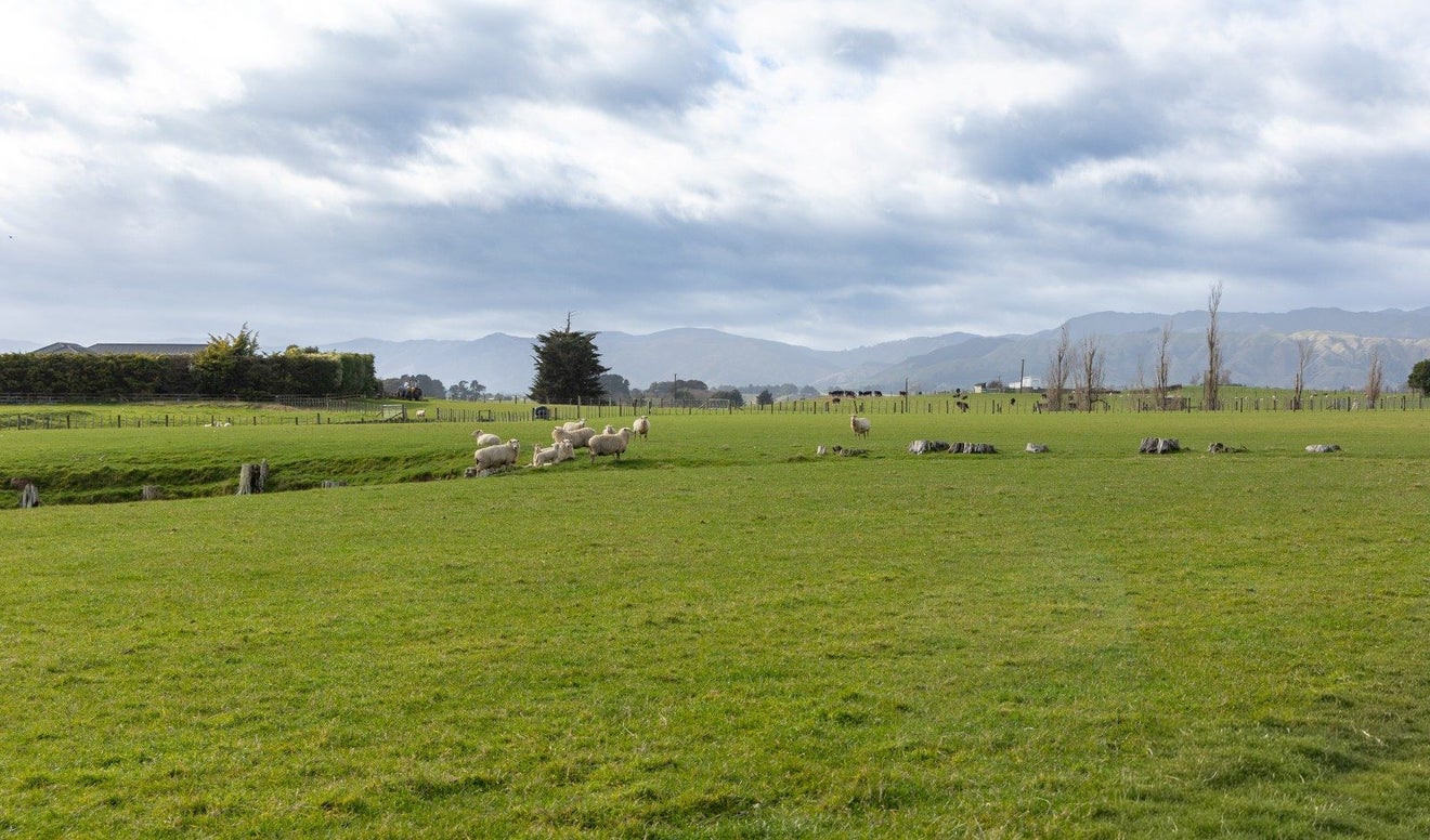 234 Kukutauaki Road, Koputaroa, Shannon - Carousel 1