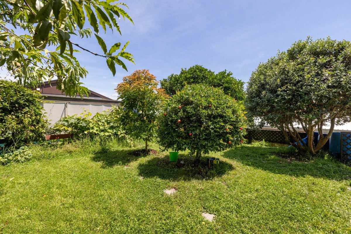6 Byron Way, Otumoetai, Tauranga - Carousel 11