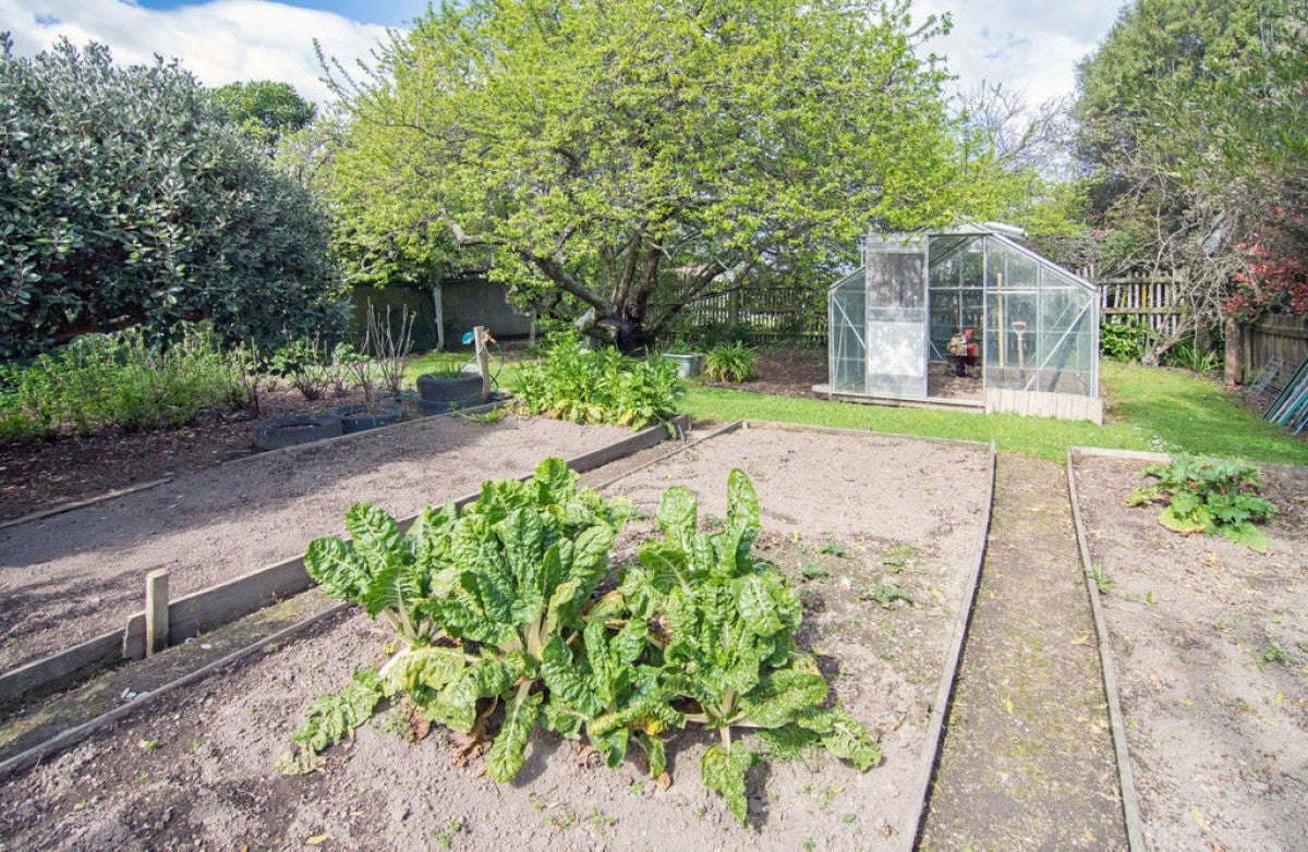 38 French Street, Lansdowne, Masterton - Carousel 26