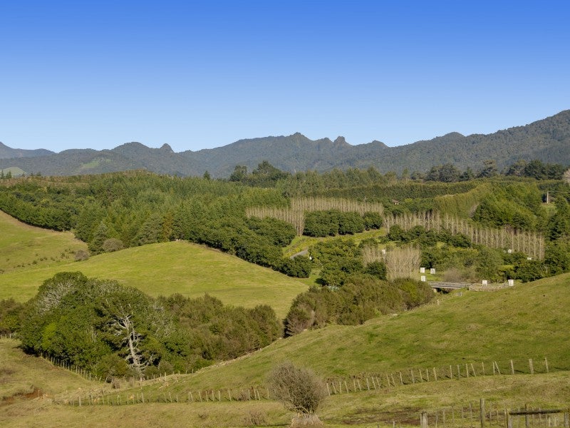 213 Busby Road, Tahawai, Katikati - Carousel 26
