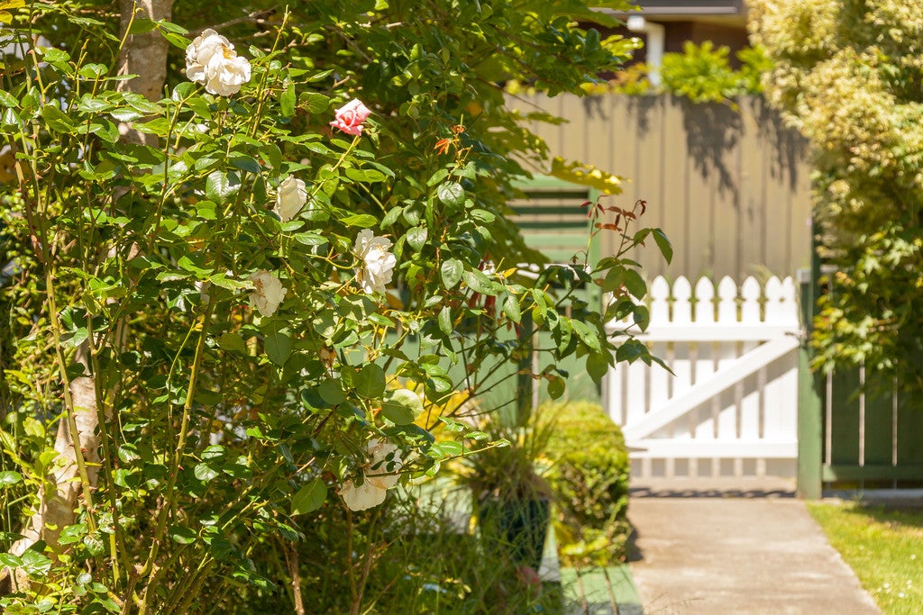 38A Thackeray Street, Trentham, Upper Hutt - Carousel 2