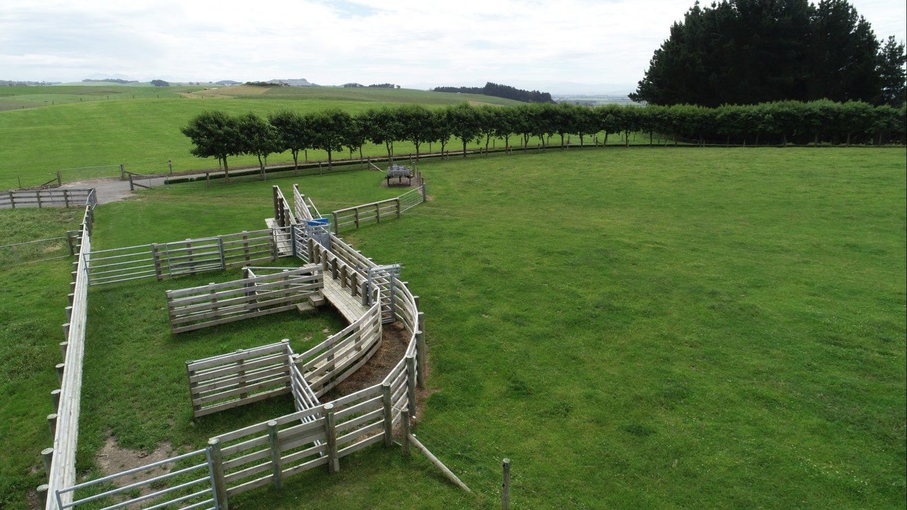 131 Georgetown-Pukeuri Road, Pukeuri - Carousel 23