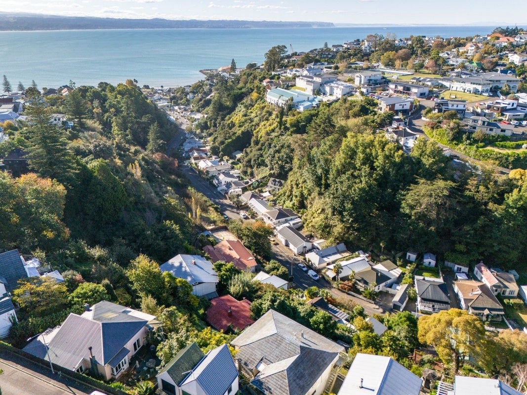 17 Fitzroy Road, Bluff Hill, Napier - Carousel 22