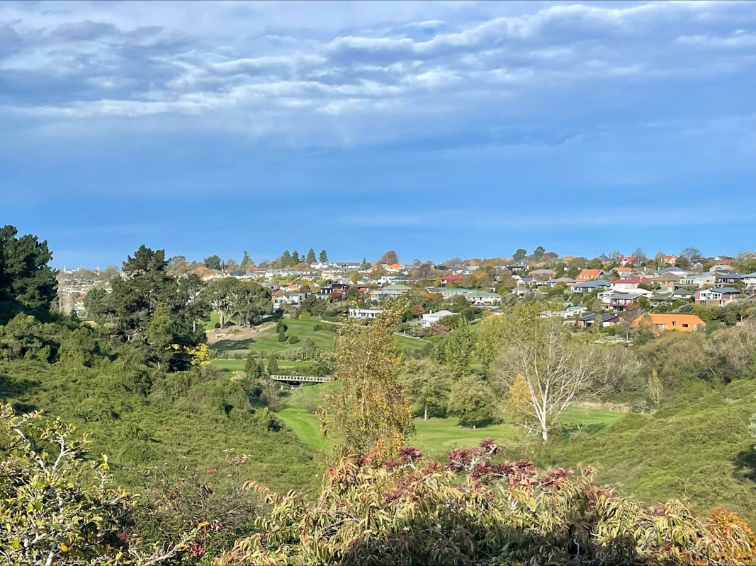 3 Lachlan Place, Marchwiel, Timaru - Carousel 2