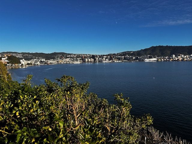 5 Lindum Terrace, Roseneath, Wellington - Carousel 13