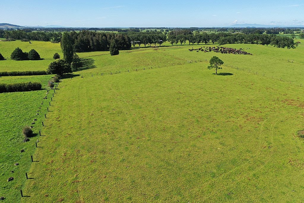 1590 Tahuna Road, TE HOE - Carousel 4