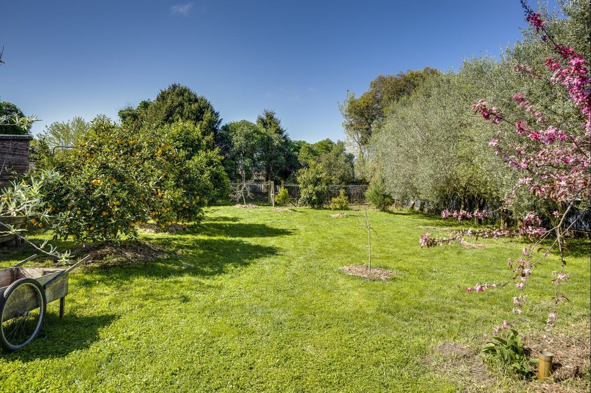 709B Duke Street, Mahora, Hastings - Carousel 1