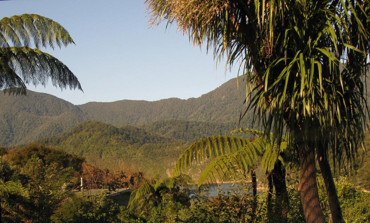 3178 Archers Road, Rai Valley - Carousel 15