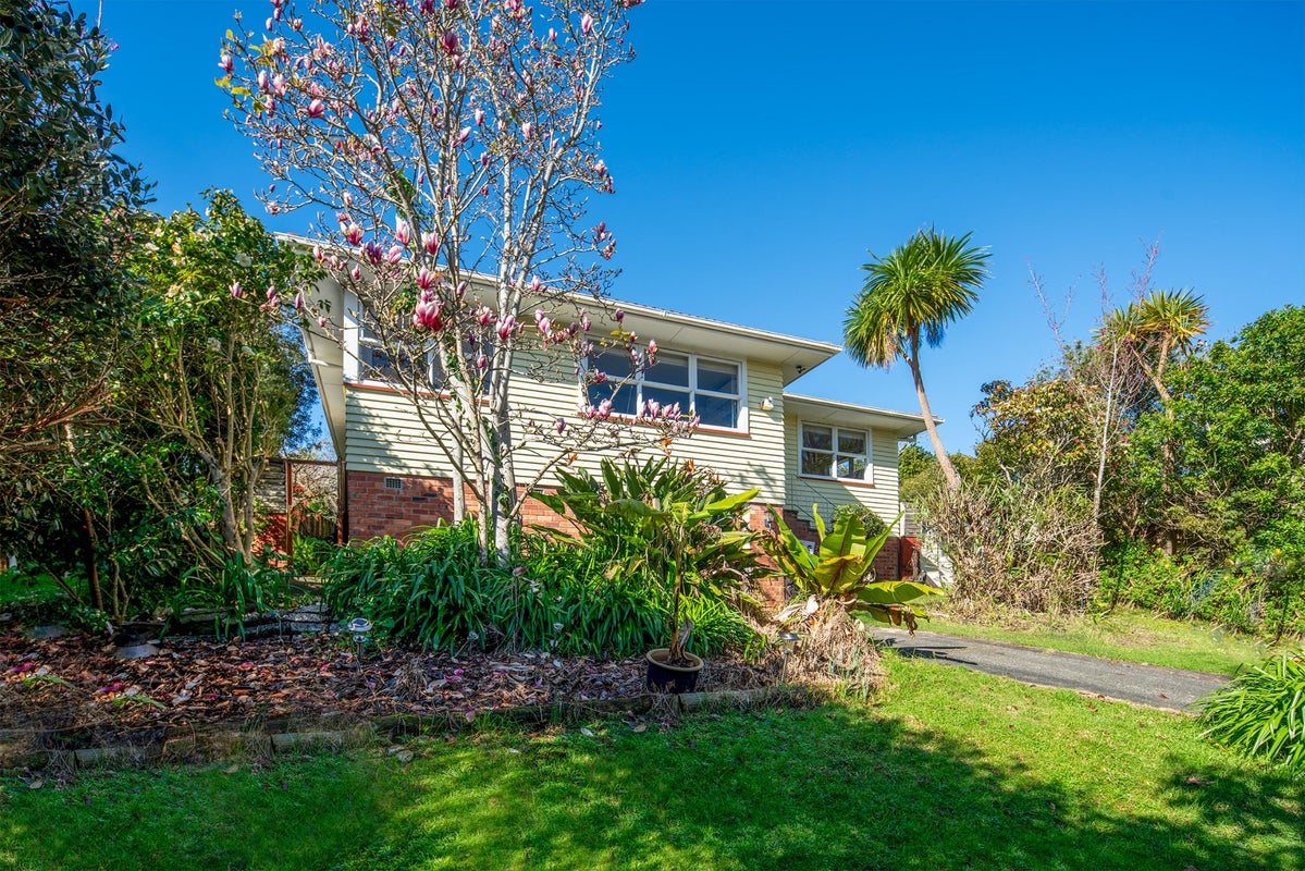 113 Moore Street, Hillcrest, Auckland - Carousel 2