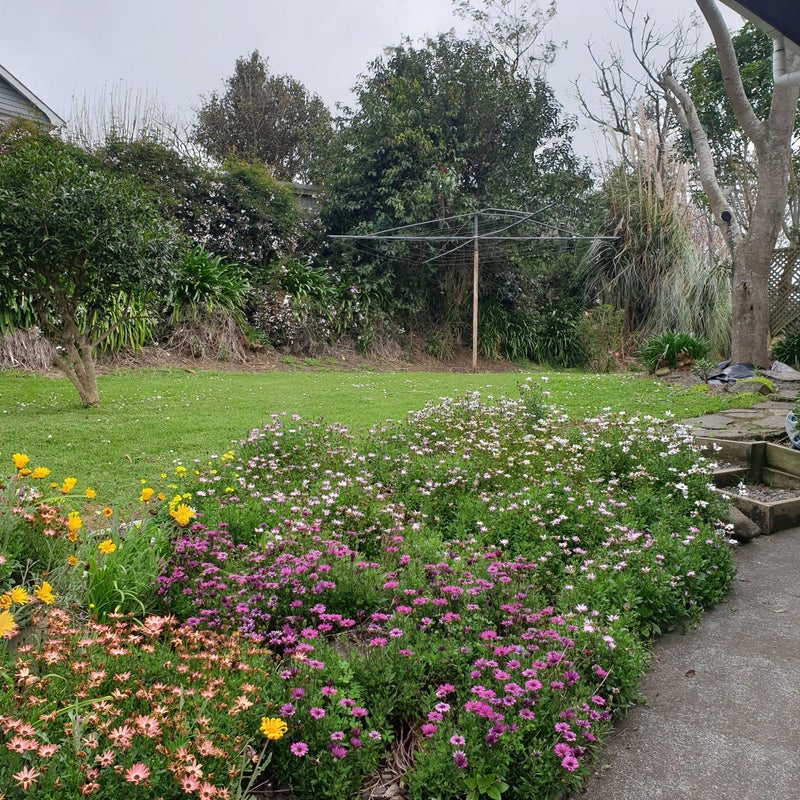 131B Queen Street, Waiuku - Carousel 19