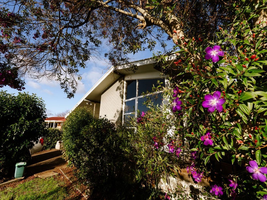 6 Magenta Place, Dinsdale, Hamilton - Carousel 1