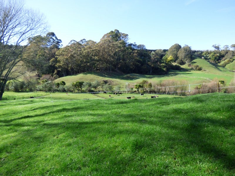 671A Paerata Ridge Road, Waiotahe, Opotiki - Carousel 2