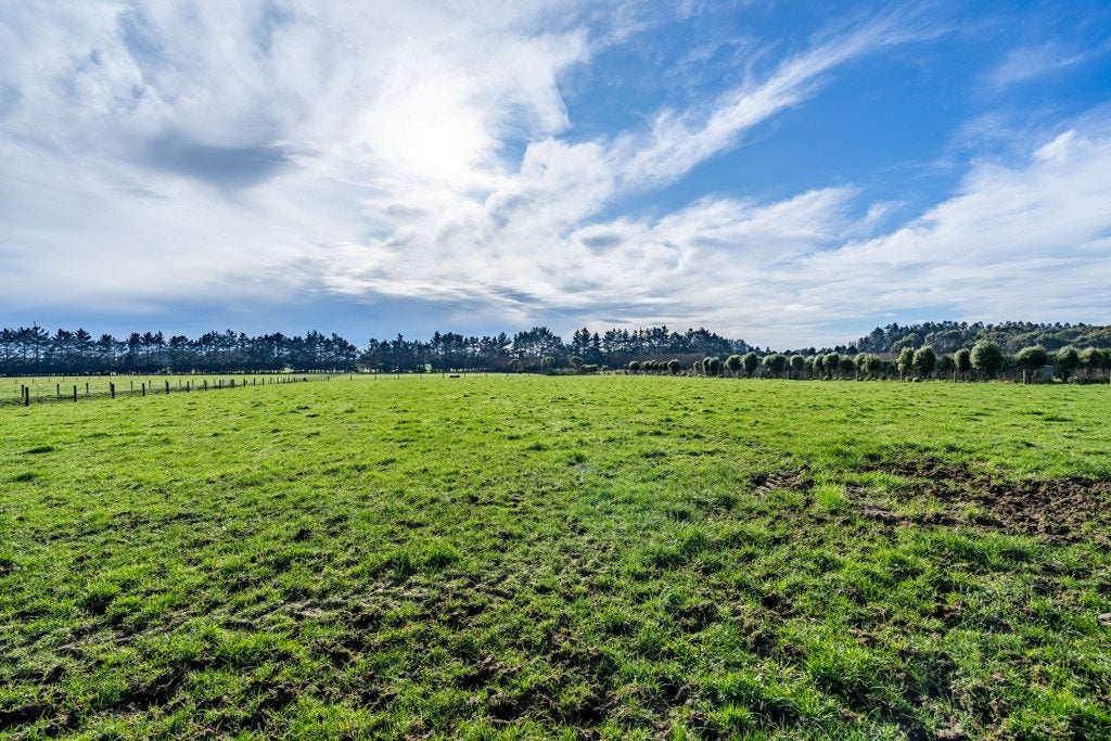 118 Moore Road, Lorneville, Invercargill - Carousel 27