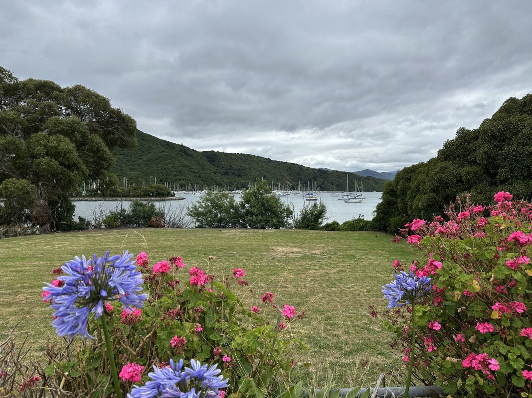 311 Waikawa Road, Waikawa, Picton - Carousel 2