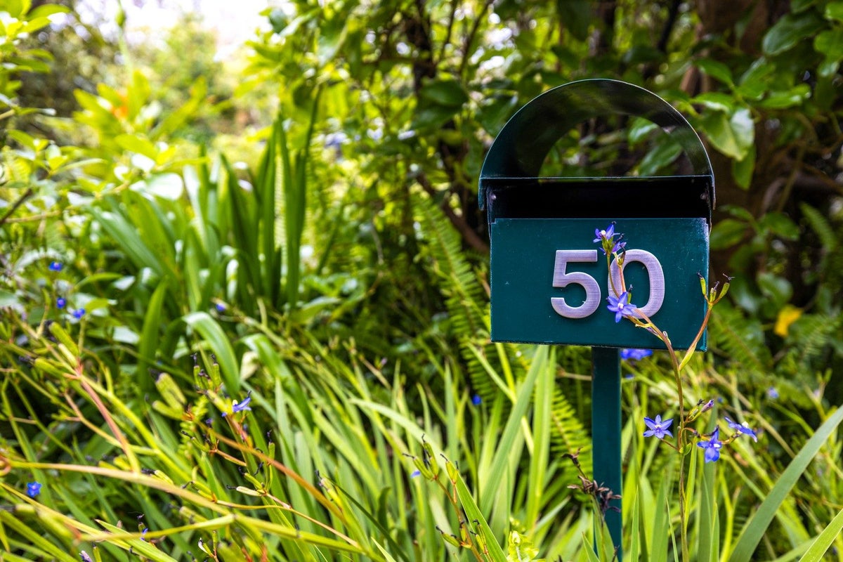 50 Tiri View Road, Palm Beach, Waiheke Island - Carousel 2