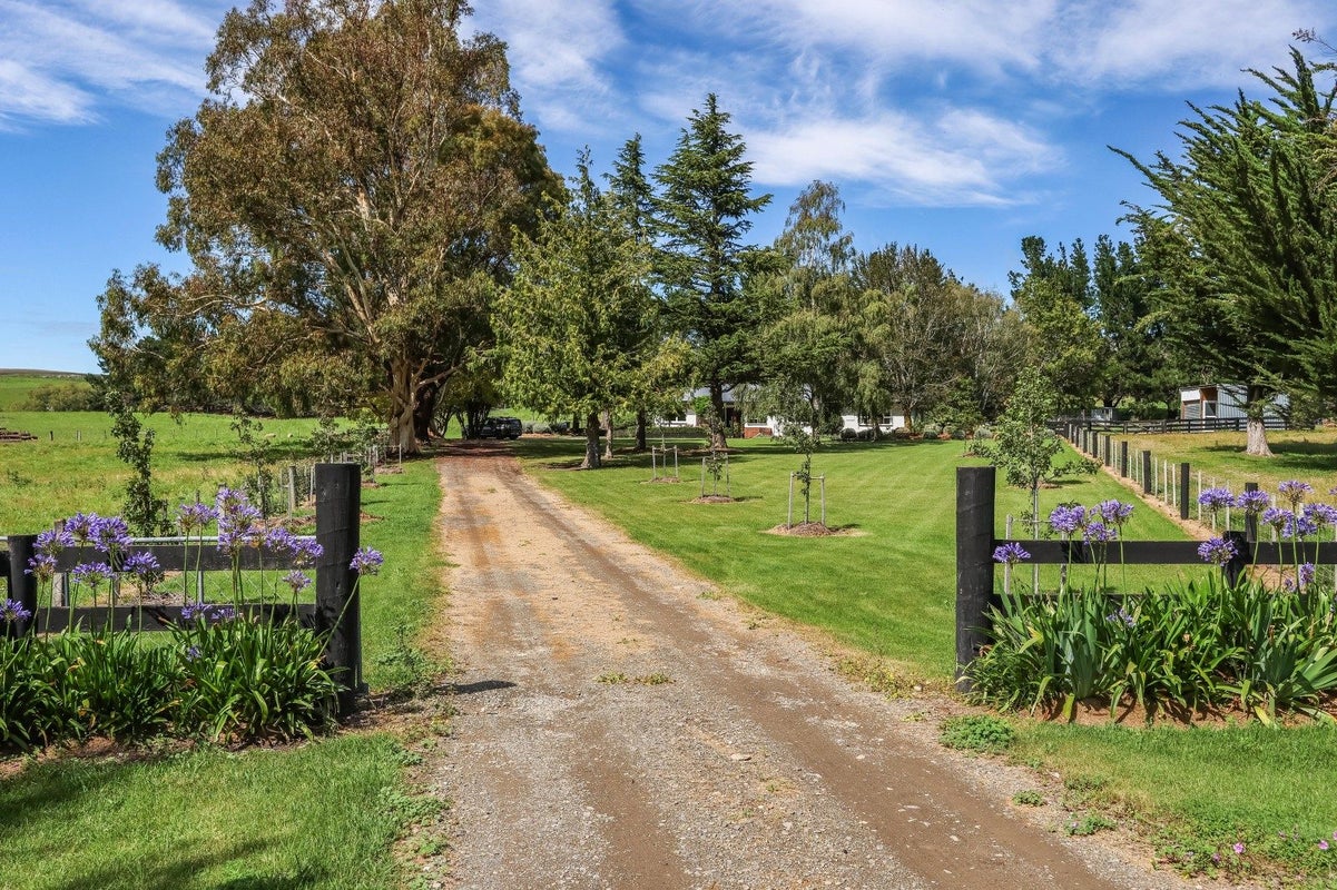379 Pyramid Valley Road, Pyramid Valley, Waikari - Carousel 30