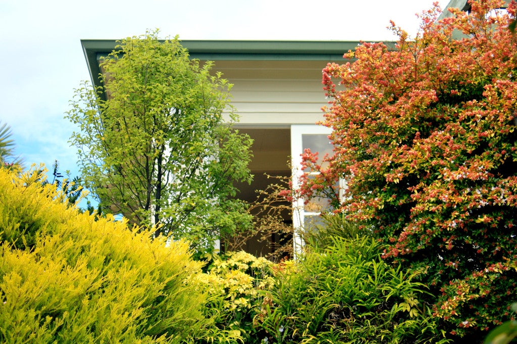 87 Mount Street, Nelson South, Nelson - Carousel 21