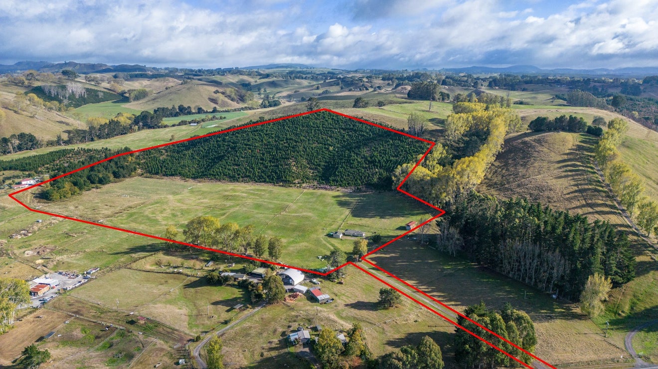 201 State Highway 5, Wairakei, Taupo - Carousel 1