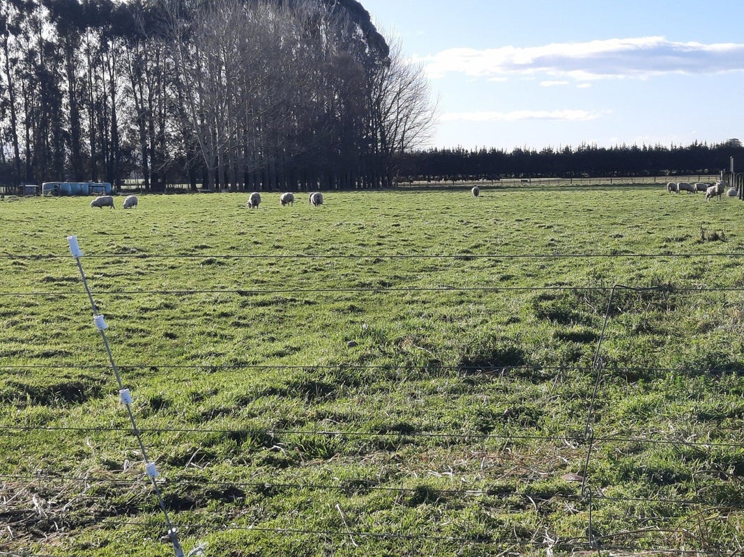 161 Richard Pearse Drive, Temuka, Temuka - Carousel 1