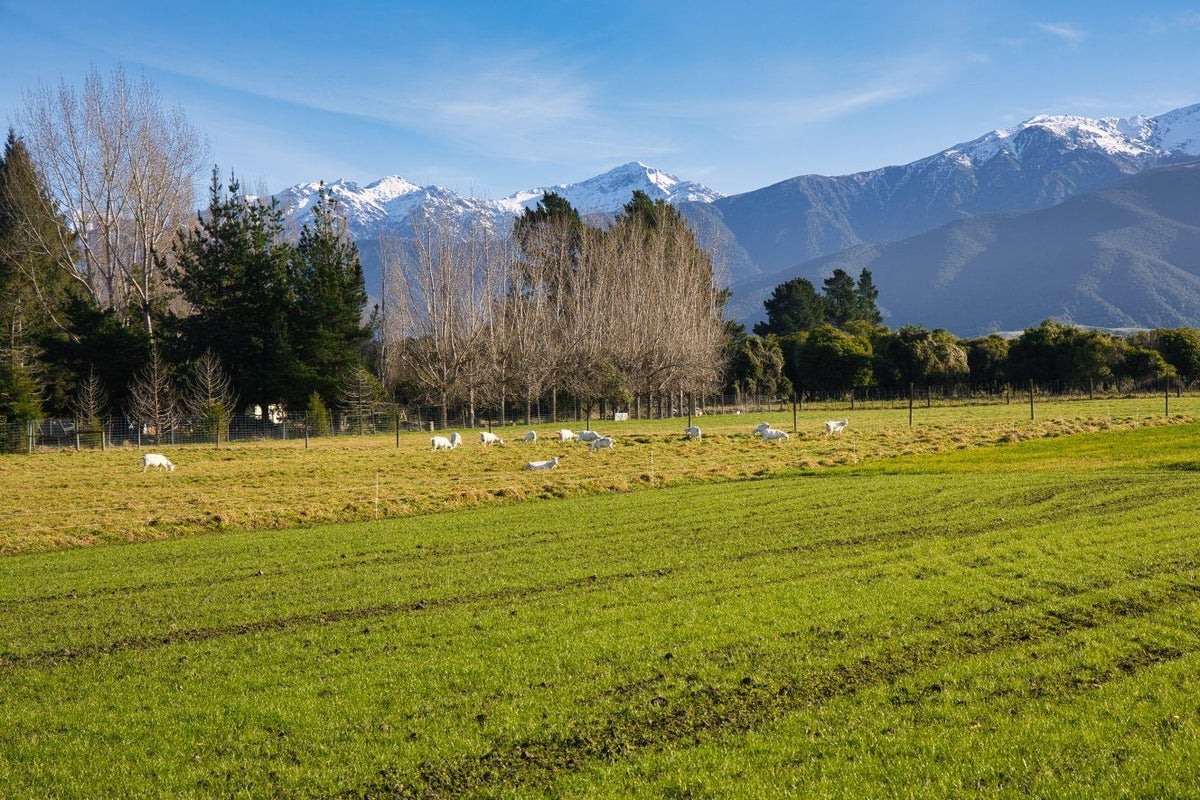 64 Kowhai Ford Road, Kaikoura Flat, Kaikoura - Carousel 2