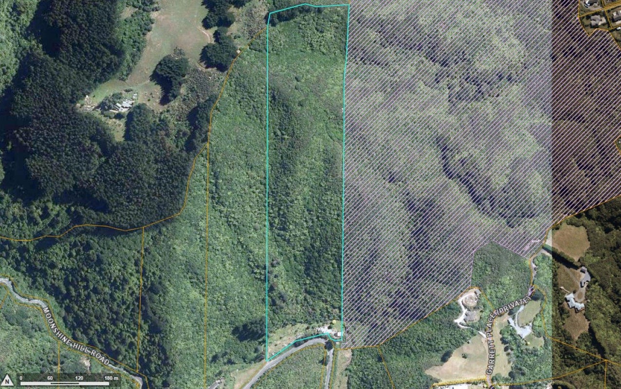 162 Moonshine Hill Road, Moonshine Valley, Upper Hutt - Carousel 33
