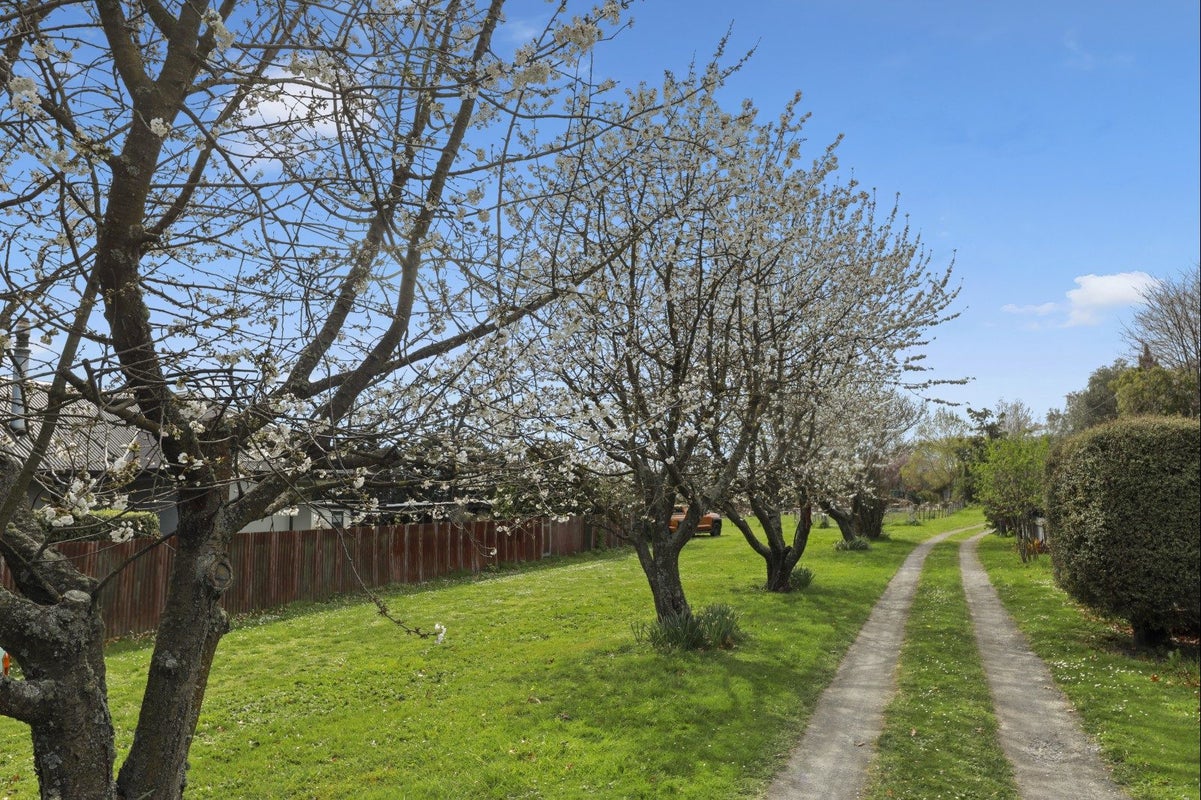 12 Hammerichs Road, Rapaura, Blenheim - Carousel 2
