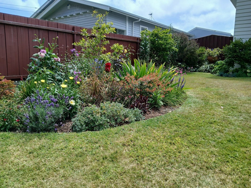 47 Trafalgar Street, Waterloo, Lower Hutt - Carousel 25