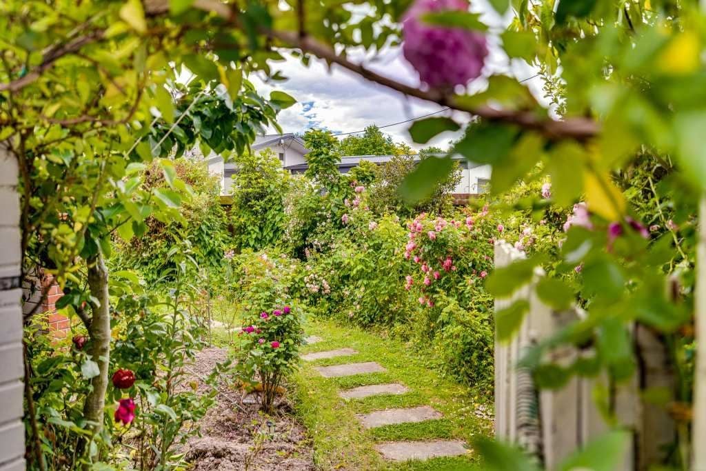 317 Withells Road, Avonhead, Christchurch - Carousel 21