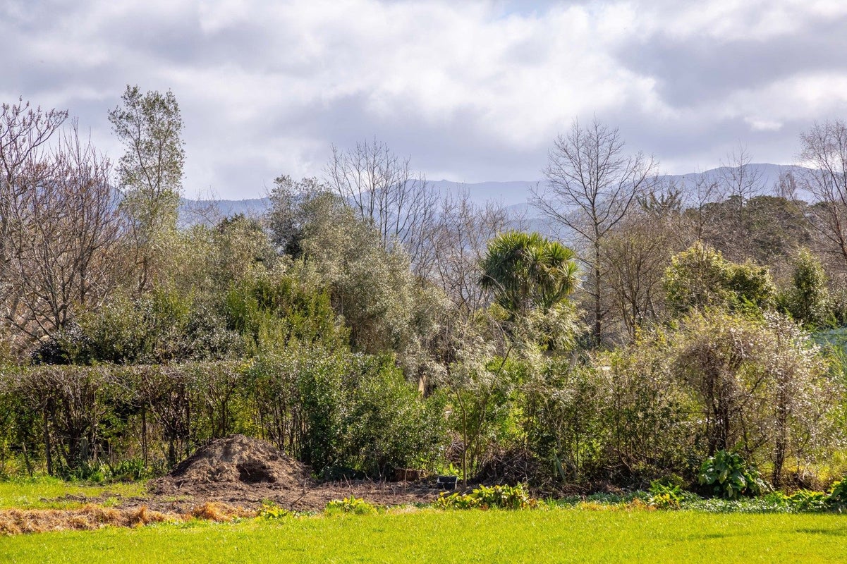 7 Macrocarpa Lane, Carterton - Carousel 17