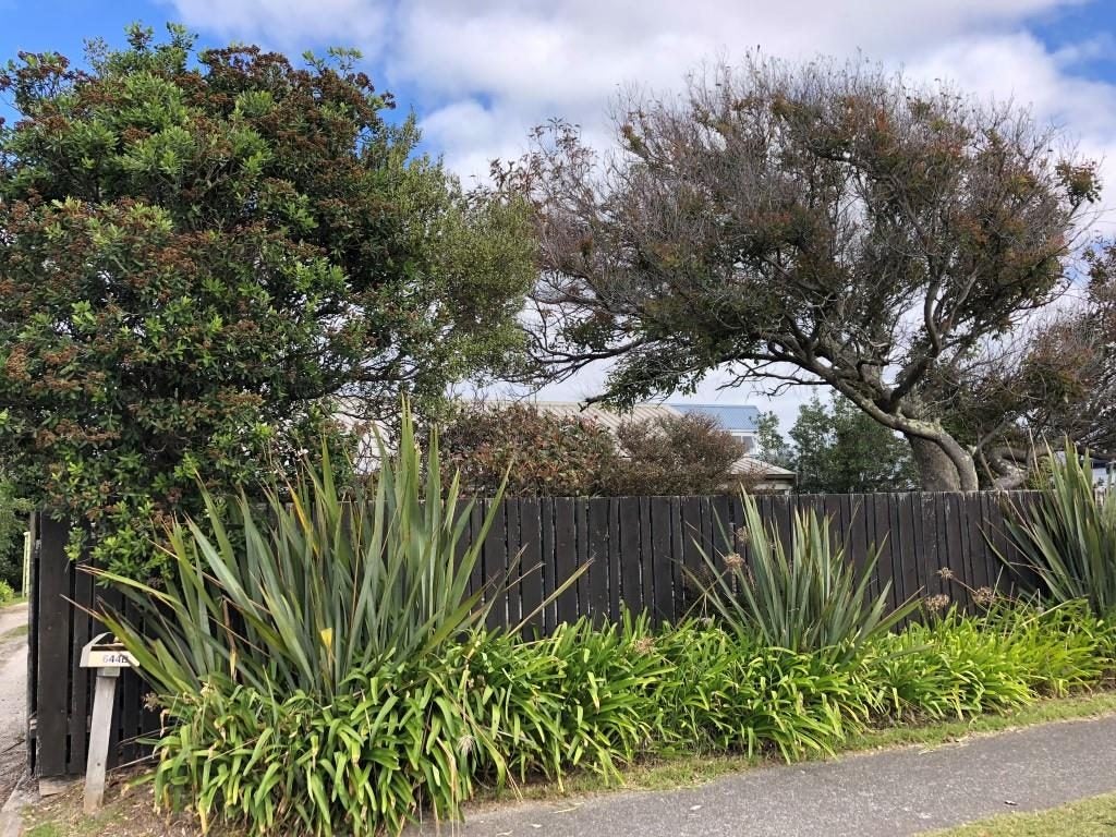 644A Papamoa Beach Road, Papamoa Beach, Papamoa - Carousel 15