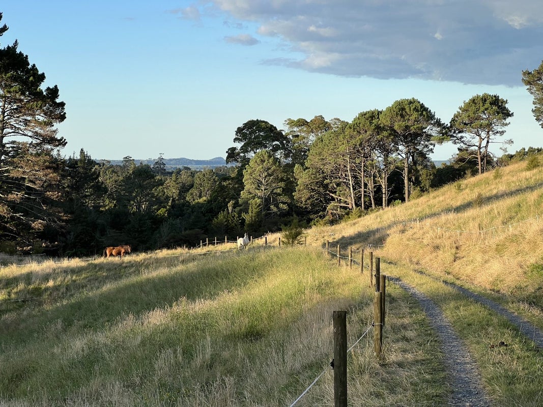 38 Windridge Lane, Aongatete, Katikati - Carousel 13