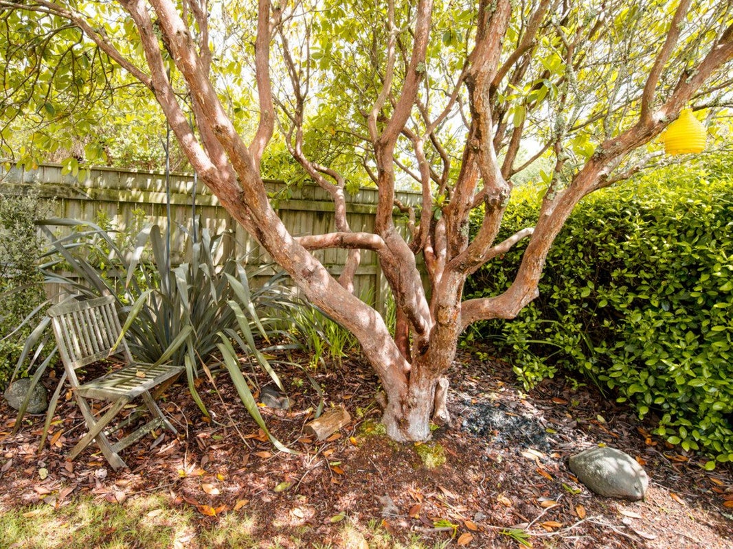 19 Moore Street, Ohakune - Carousel 23