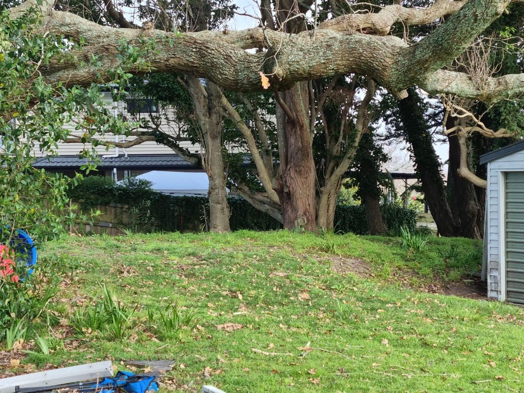49 Hillcrest Road, Papatoetoe, Auckland - Carousel 10