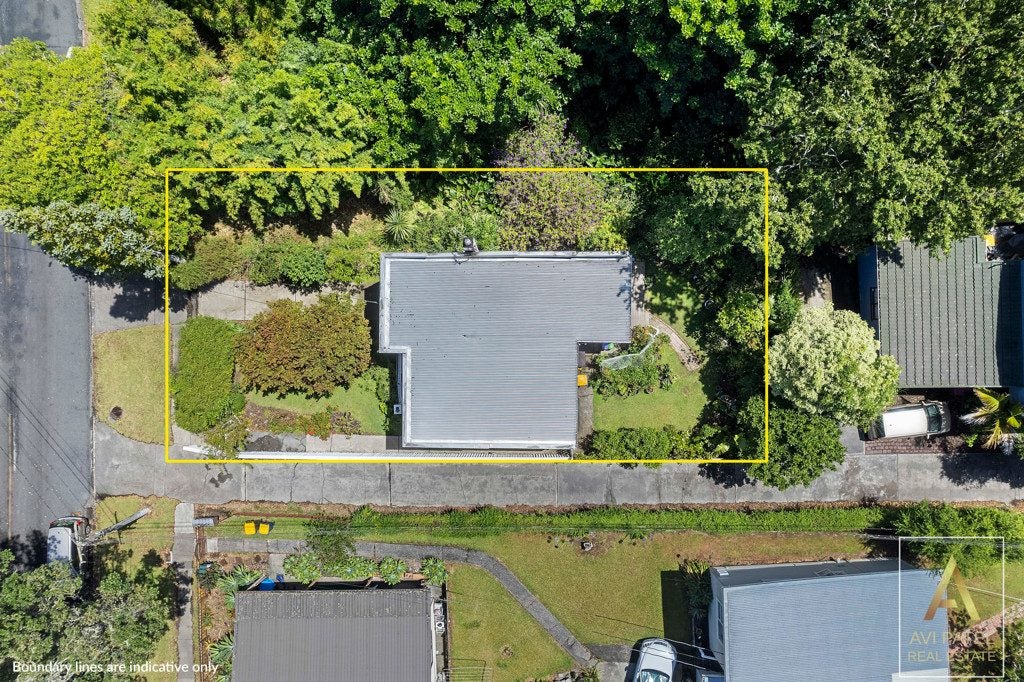 50 Gardner Avenue, New Lynn, Auckland - Carousel 2