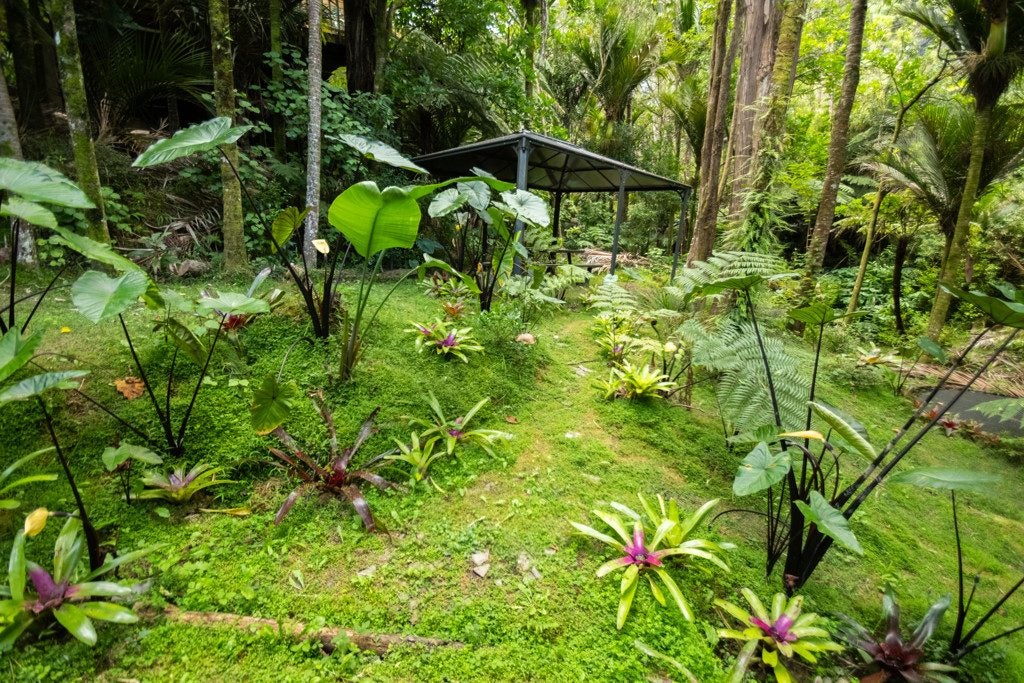 90 Laingholm Drive, Laingholm, Auckland - Carousel 36
