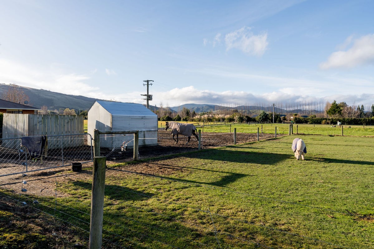 471 Riccarton Road West, North Taieri, Mosgiel - Carousel 25
