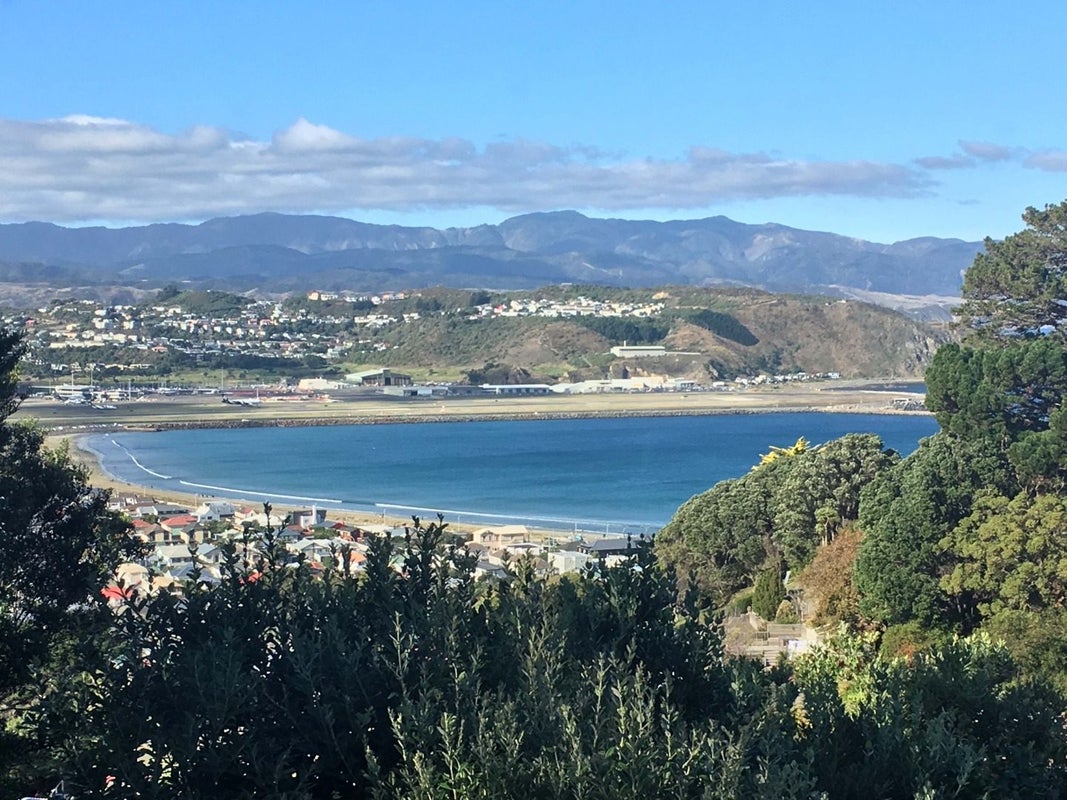 25 Hornsey Road, Melrose, Wellington - Carousel 2