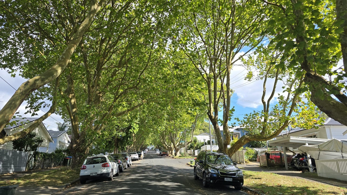 28 Browning Street, Grey Lynn, Auckland - Carousel 16
