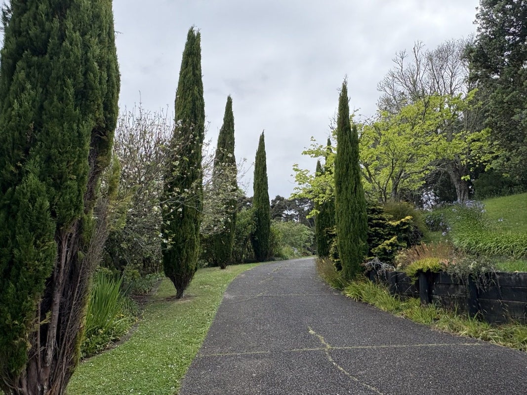 50 Godley Lane, Lucas Heights, Auckland - Carousel 16