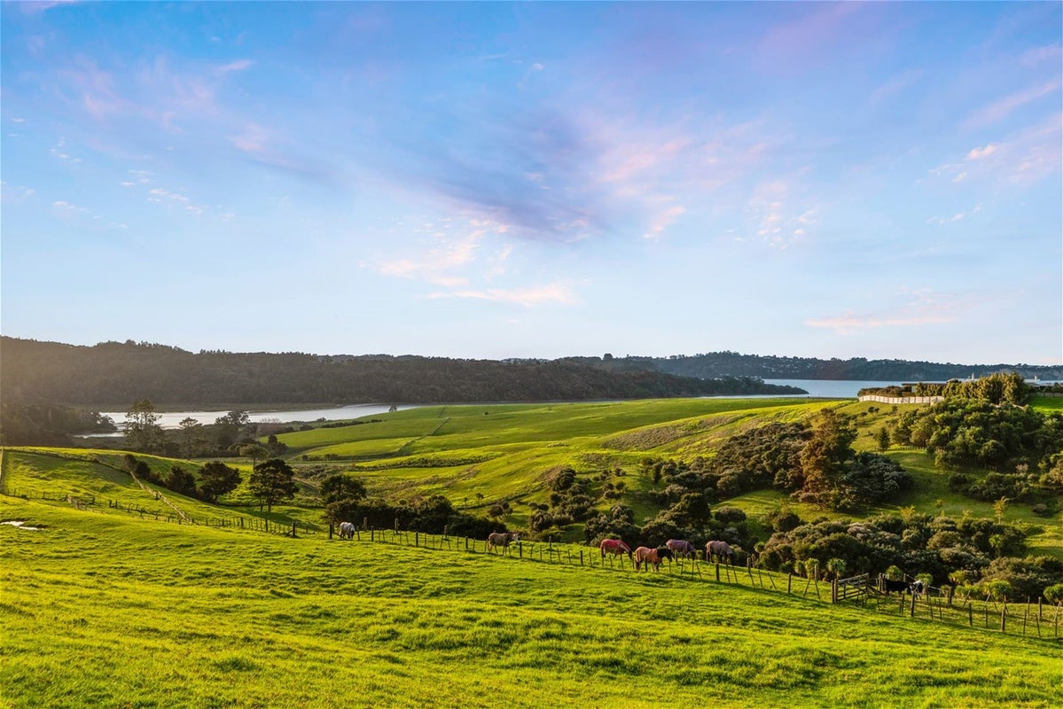 151 Vaughans Road, Albany - Carousel 28