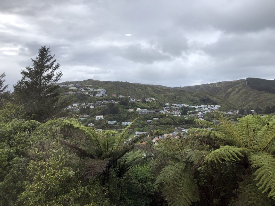 81 Thurleigh Grove, Karori, Wellington - Carousel 8