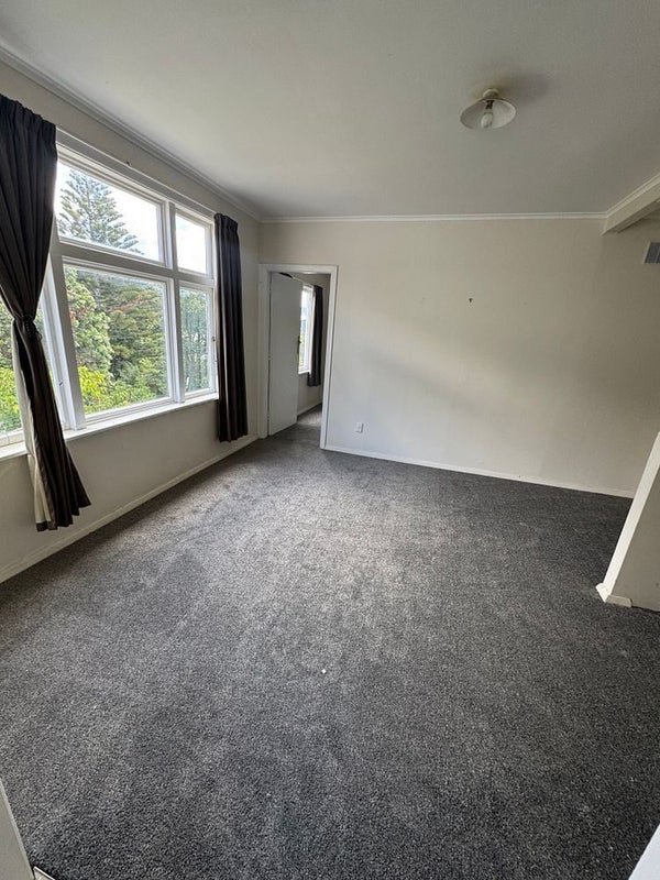 166 Hanson Street, Newtown, Wellington - Carousel 7