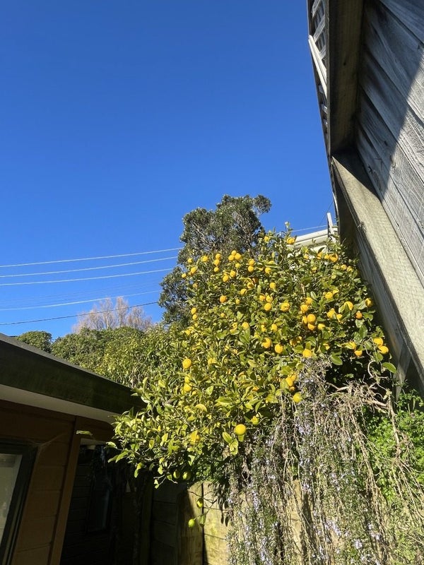 2/15 Glanmire Road, Newlands, Wellington - Carousel 2