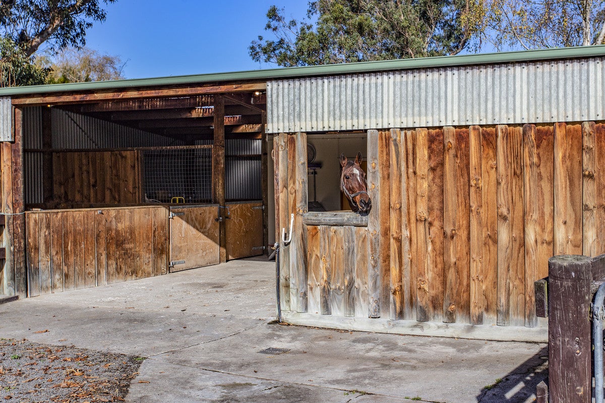 0 Pardoa Boulevard, Chartwell, Hamilton - Carousel 2