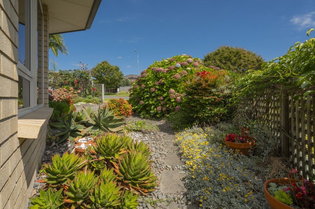 12 Waterside Drive, Pyes Pa, Tauranga - Carousel 23